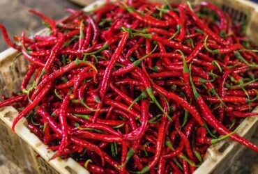 O que Significa a Pimenta na Macumba? E em Pingente?