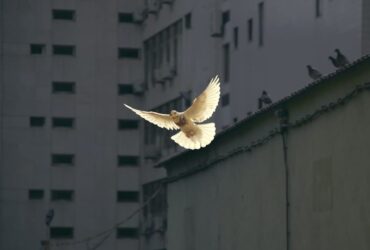 Como Saber se a Pessoa que Morreu Está Bem? 7 Sinais