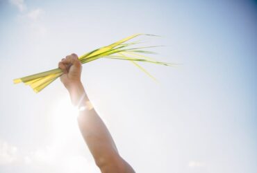 7 Simpatias Para Espremedeira de Bebê