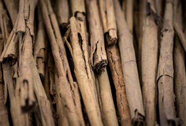 5 Simpatias da Canela no Primeiro dia do Mês: Poderosas