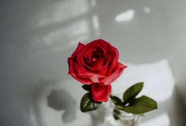 7 Simpatias Para Menstruação Descer Bem Rápido
