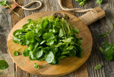 7 Simpatias Para Acabar com Piolho Bem Rápido (Funcionam)