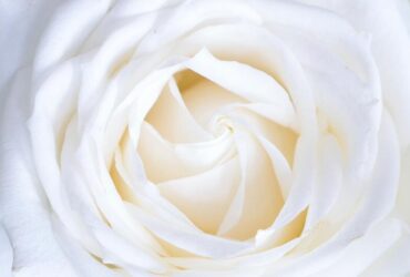 7 Simpatias Para Esquecer uma Pessoa Definitivamente