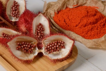 Urucum e seu Significado Espiritual: O Que Representa?