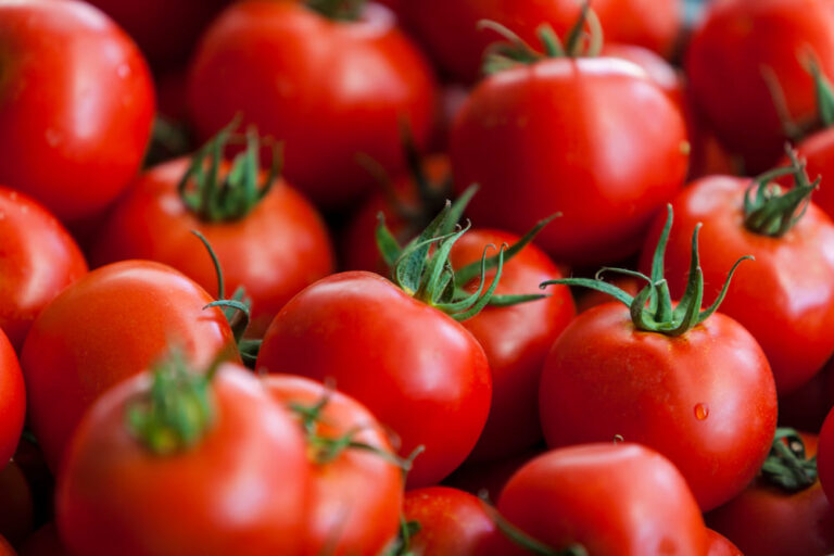 Significado Espiritual do Tomate: Sonhos e Vida Real