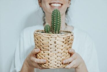 7 Significados do Cacto na Bíblia: É Uma Planta Positiva?